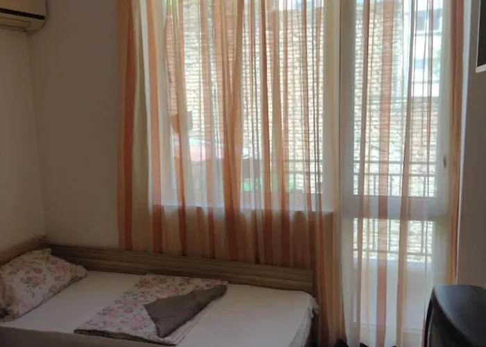 хаджи иванов Varna