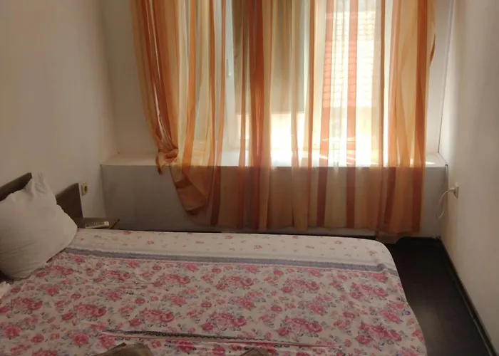 хаджи иванов Varna