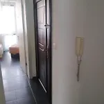 хаджи иванов Daire
